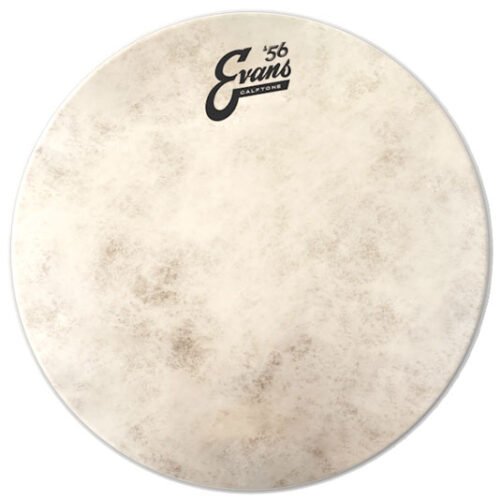 PARCHE EVANS 12" CALFTONE TRANSPARENTE