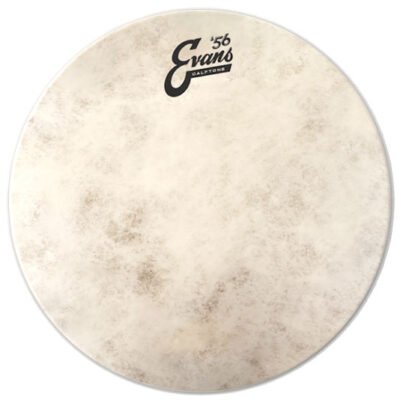 Parche Evans 13" Calftone Transparente Tt13C7