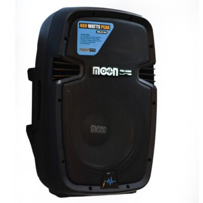 Bafle Potenciado De 12" Con Usb, Sd, Bluetooth, Radio, Pantalla, Control Remoto. Wild12Aup