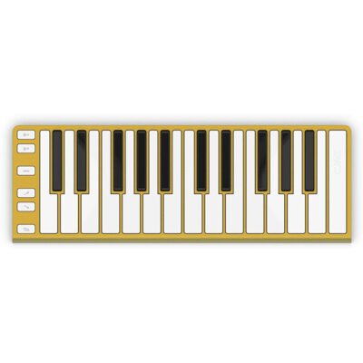 Controlador Midi Xkey 25 Notas-Ultra Liviano-128 Niveles De Sensibilidad-Octavador-+ Cable Usb-Color Dorado Xkey25Gold