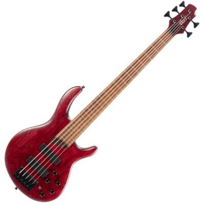 Cort Bajo Electrico Element Opbr B5 B5 Element Opbr
