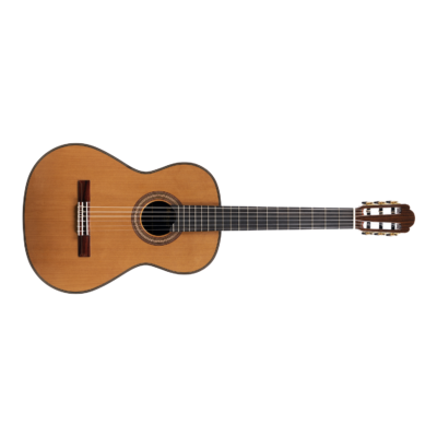 Guitarra Clasica Martinez Professional Hauser Style C + Estuche