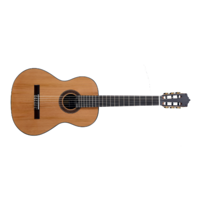 Guitarra Clasica Martinez Standard Mc48C + Funda