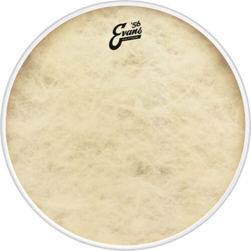 PARCHE EVANS 16" CALFTONE PARA BOMBO