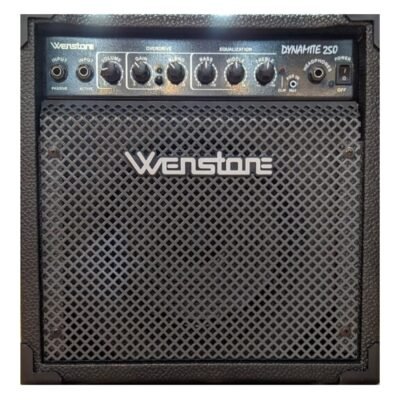 Wenstone Dynamite 250 Amplificador De Bajo 25 Watts Rms Dynamite 250