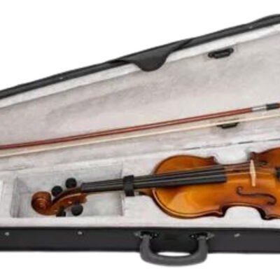 Violín Acústico Segovia Superior Pro 4/4 Macizo Arco Vs101H44