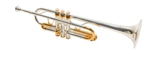 Trompeta Parquer En Do Plateada Dorada Estuche Envio Gratis