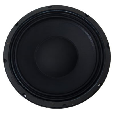 Parlante Woofer 10 Pulgadas Neodimio 250W Rms Moon Pneo10 Pneo10