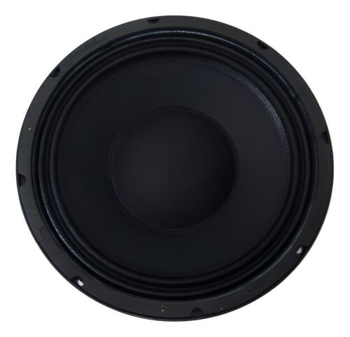 Parlante Woofer 10 Pulgadas Neodimio 250w Rms Moon Pneo10