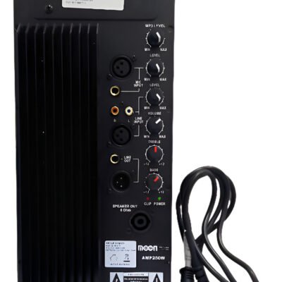 Modulo De Potencia Para Bafle Amp250W Wild15A Amp250W
