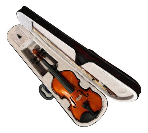 Violin De Estudio Para Adultos Wotan 4/4 Con Estuche Y Arco
