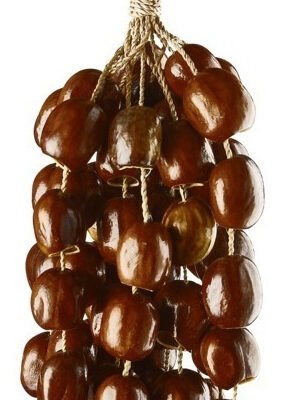 Shaker De Cascaras De Nuez De Semillas De Pala Meinl - Sprl Sprl
