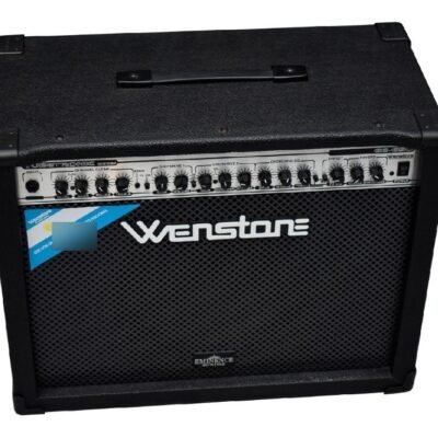 Amplificador Wenstone Ge 650 (C/ Parlante Eminence Red Coat) Ge 650 C/ Eminence Readcoat