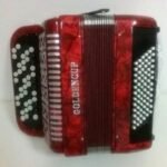Acordeon 72 Bajos Diatonico Golden Cup Jh5072Rd Jh5072Rd