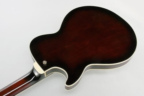 Bajo De Caja Ibanez Agb 205 Dvs 5 Cuerdas Serie Artcore - Imagen 2