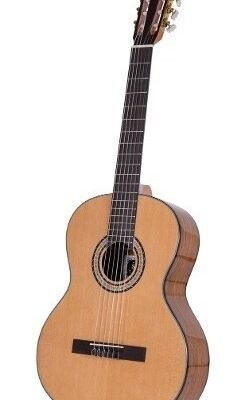 Guitarra Clasica Segovia Medio Concierto E180N