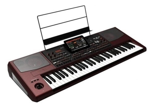 Korg Pa1000 Teclado Professional Arranger 61 Teclas Tec Rx