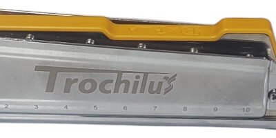 Armonica Profesional Cromatica Parquer 10 Agujeros C Colores Trochilusyellow