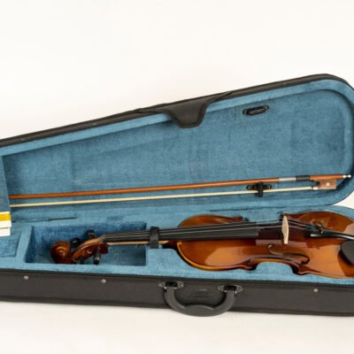 Violin Acústico Segovia Estudio Antique 4/4 Tilo Arco Vp102H44