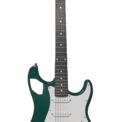 Guitarra Eléctrica Parquer Custom Stratocaster 2019 Caoba St100Gr