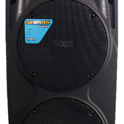 Bafle Potenciado Doble 10 Pulg. Moon Wild210Aup Radio Usb Bt Wild210Aup
