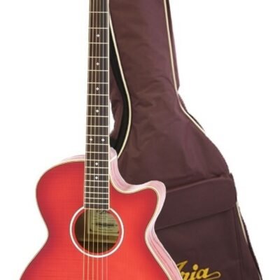 Guitarra Electoacústica Tapa Maple + Funda Ortega Fet01Fxsr