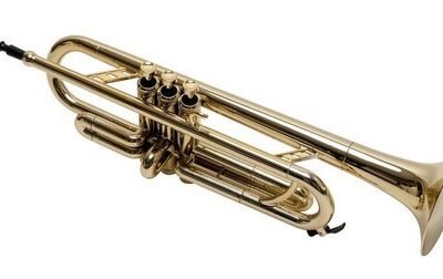 Trompeta Plastico Bb Parquer Dorado Metalizado Liviana Funda Ptr-200G
