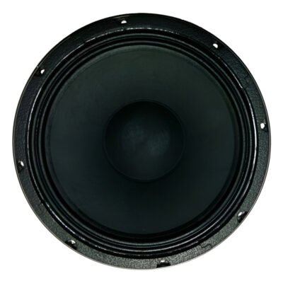 Parlante Woofer Neodimio 12 Pulgadas 300W Rms Moon Pneo12 Pneo12