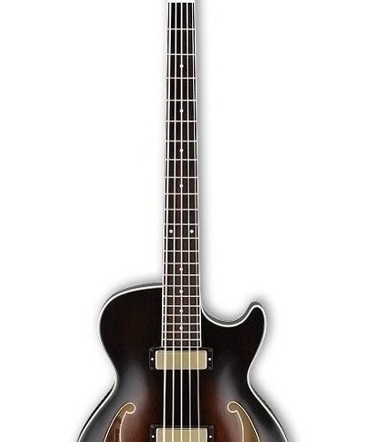 Bajo De Caja Ibanez Agb 205 Dvs 5 Cuerdas Serie Artcore