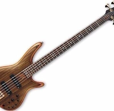 Ibanez Bajo 5 Cuerdas Premium Vintage + Estuche Sr1205 Vnf E Ic-Ib-Sr1205Vnfe