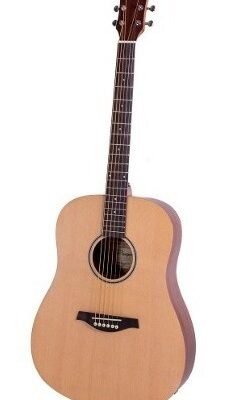 Guitarra Electroacustica Dreadnought 41 Con Funda Ga450Bzfeq