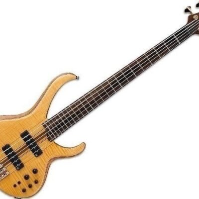 Ibanez Btb1405Vnf Bajo Electrico Premium De 5 Cuerdas Ic-Ib-Btb1405Vnf