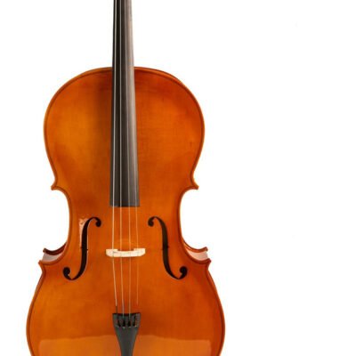 Cello Violoncello Segovia 4/4 Estudio Madera Tilo Funda Arco Cp101H44