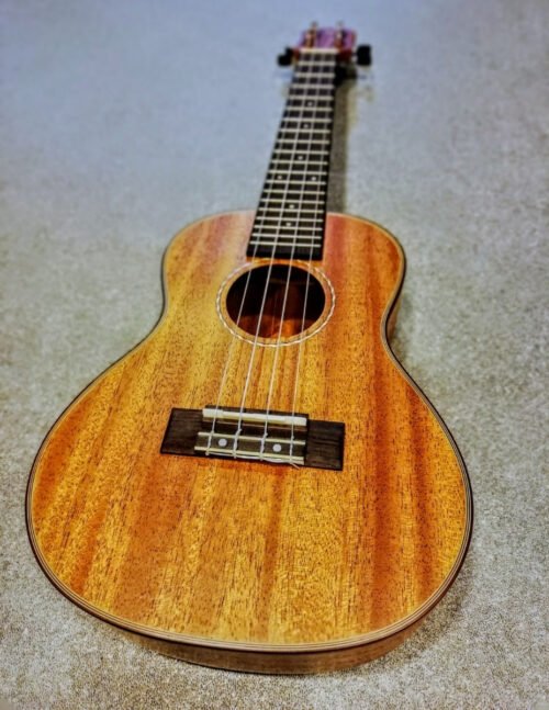 Ukelele Concierto Izzo Caoba Serie 320cm Con Funda - Imagen 2