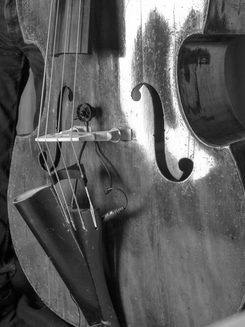 Microfono Para Contrabajo Prodipe Bl21 - Imagen 2