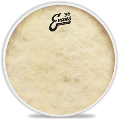 Parche Evans 16" Calftone Transparente Tt16C7