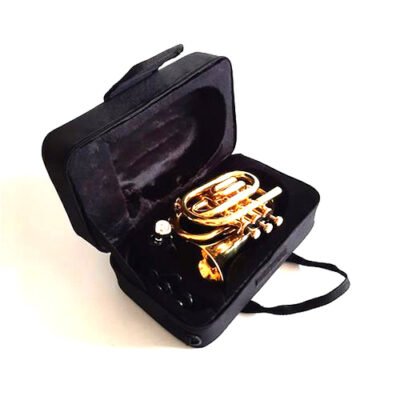 Trompeta Bb Pocket Con Estuche Lincoln Winds Lwtr1406