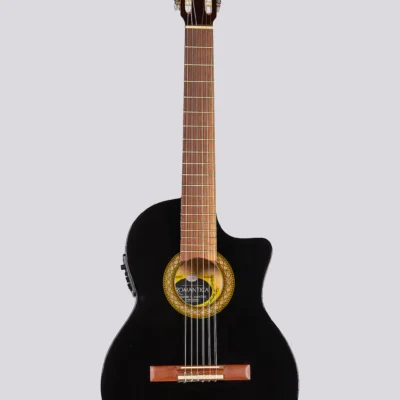 Guitarra Electrocriolla Media Caja Romantica Con Corte J-1 Ebro Con Funda Negra Fishman Isys