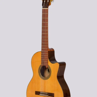 Guitarra Electrocriolla Romantica Profesional N-Luxe Con Funda Natural Fishman Isys