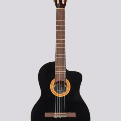 Guitarra Electrocriolla De Medio Concierto Romantica D-Pro Con Funda Media Caja Fishman Isys