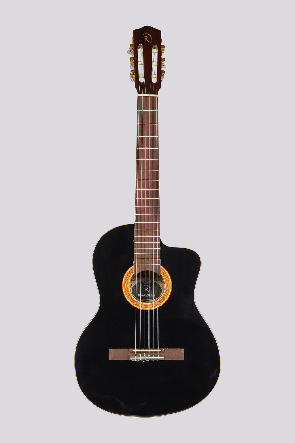 Guitarras Electrocriolla De Medio Concierto Romantica D-Pro Con Funda Media Caja Fishman Isys
