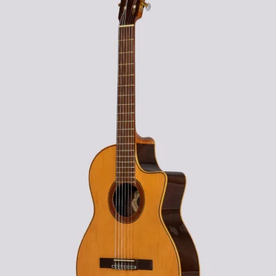 Guitarra Electrocriolla De Medio Concierto Romantica D-Pro Con Funda Media Caja Fishman Isys