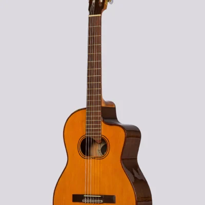 Guitarra Electrocriolla Romantica Profesional Z-3 Con Funda Negra Fishman Isys