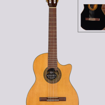Guitarra Romantica Electrocriolla Media Caja Profesional J-2 Ebro Con Funda Natural Negra Fishman Prefix Plus T
