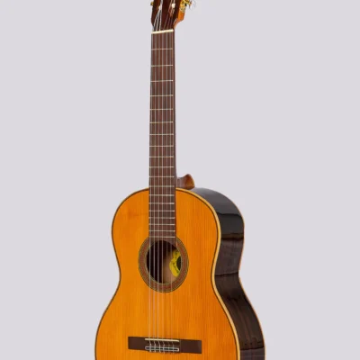 Guitarra Electrocriolla Romantica D De Medio Concierto Con Funda Natural Zurdos Fishman Isys