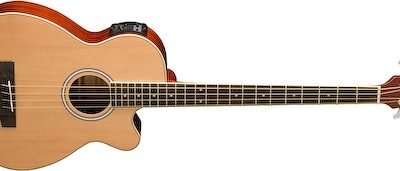 Washburn Ab5K  -  Bajo Acústico