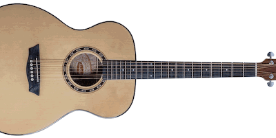 Washburn Af5 Guitarra Acústica Folk