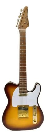 Guitarra Eléctrica Soloking Telecaster Mt1 Fm 22 Hotrail