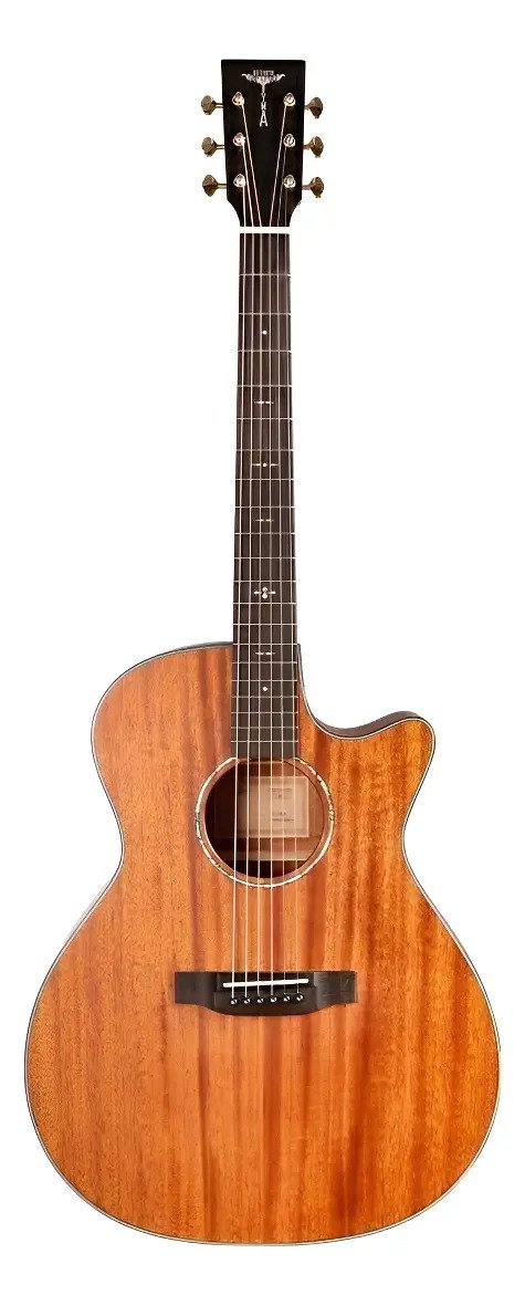 D_927005-MLA101355096967_122025-F.jpg Guitarra Electroacustica Tyma Tg10m Caoba Con Fishman - Imagen 1